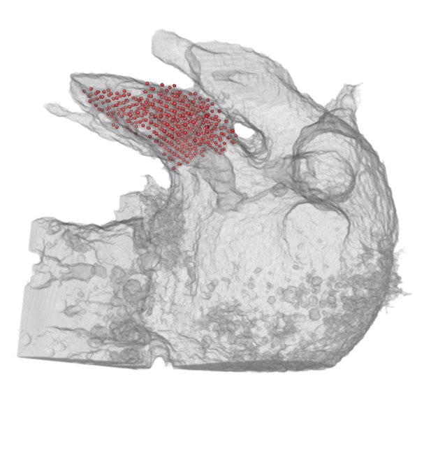 Figure 36